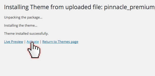 manually_updating_theme_07
