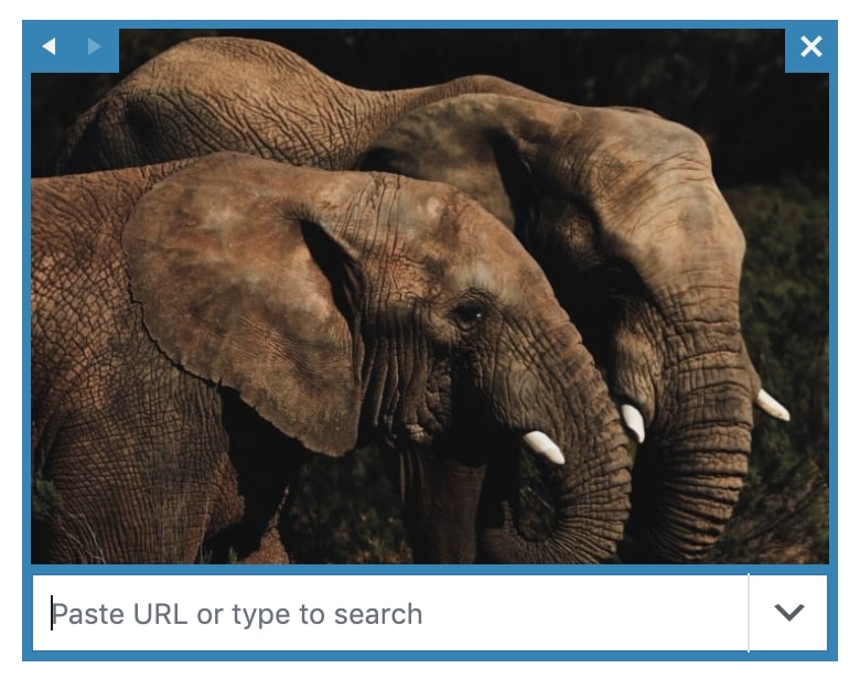 Example of custom link in Block gallery