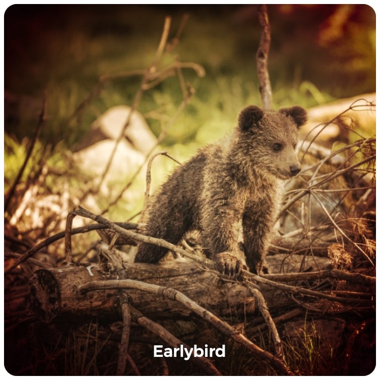 Earlybird image filter example