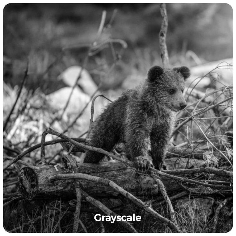 Grayscale image filter example