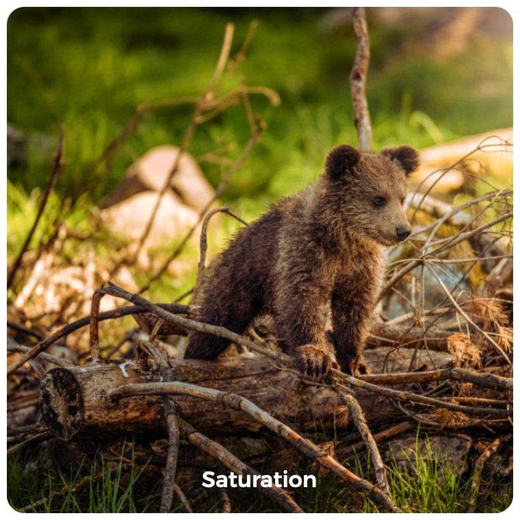 Saturation image filter example