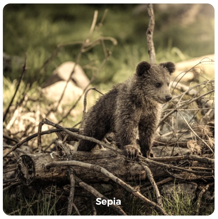 Sepia image filter example